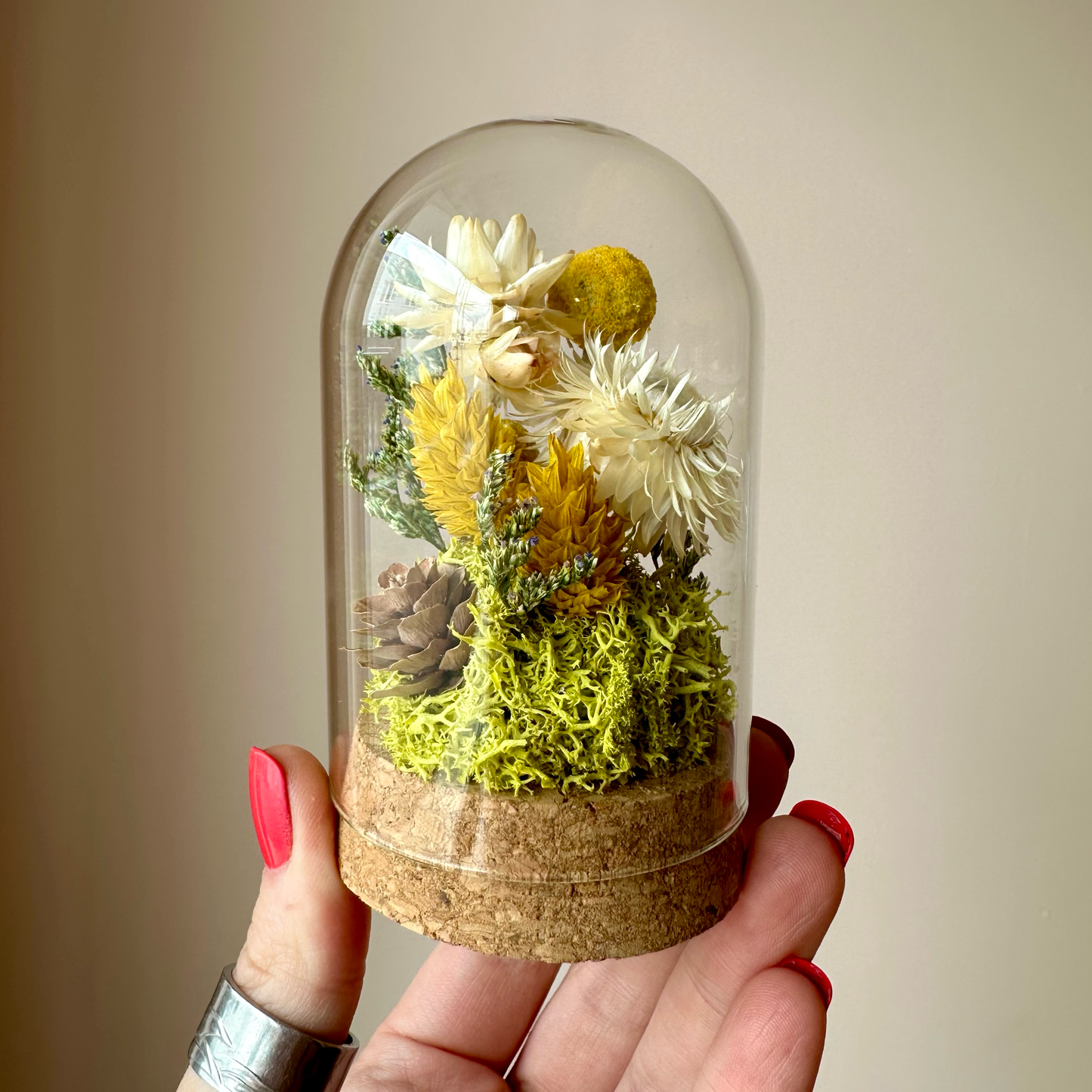 CA Studios Large Botanical Glass Terrarium - Honeyglow