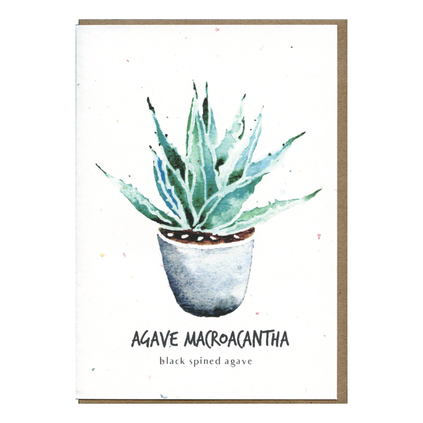 Little Green Press ATX Agave Macroacantha Botanical Card