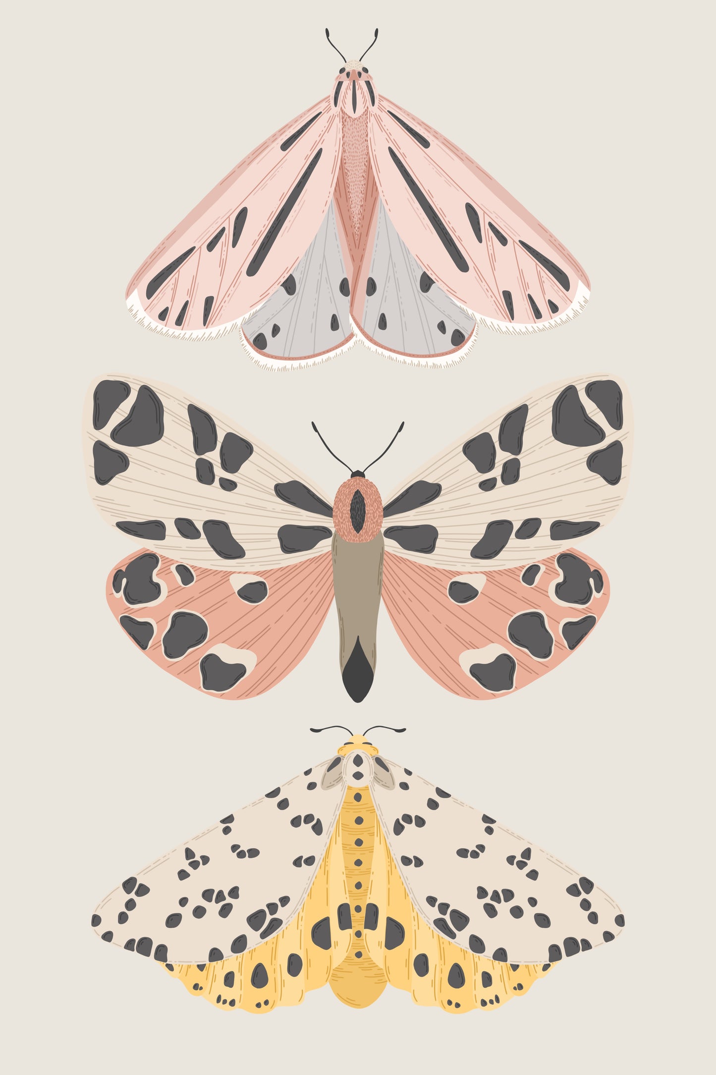 Breathe People Vintage Butterflies Art Paint by Numbers