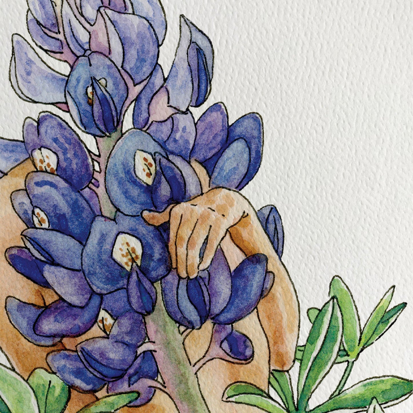 Maridad Studio Bluebonnet Bliss Print