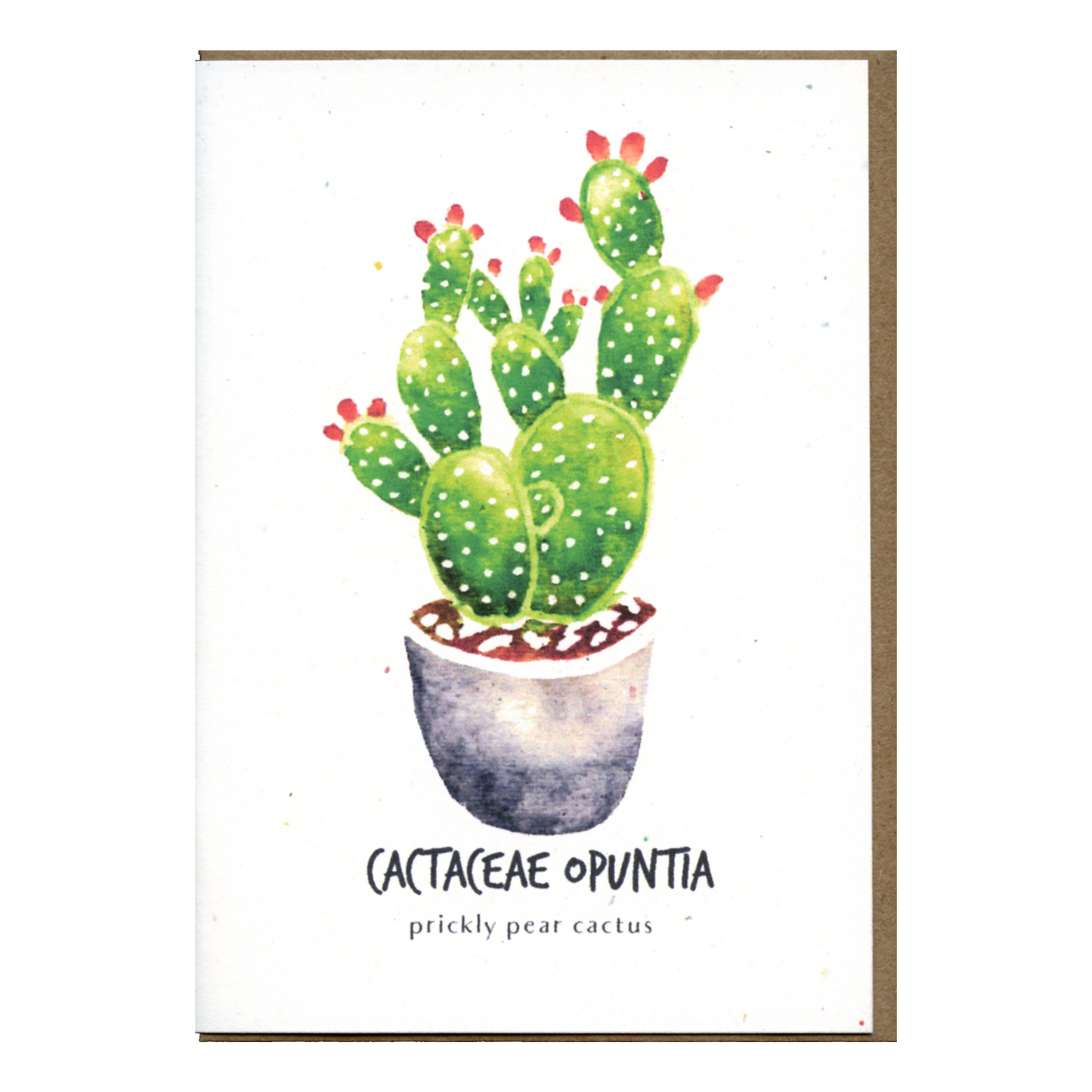Little Green Press ATX Cactaceae Opuntia Botanical Card