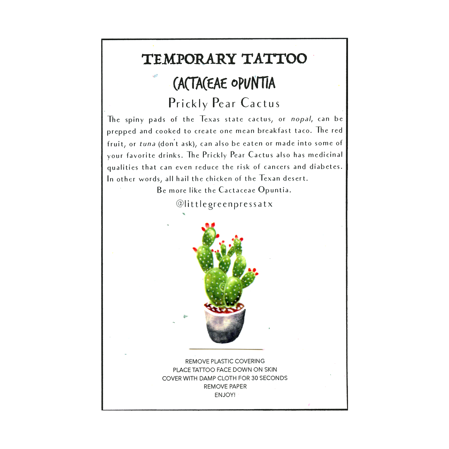 Little Green Press ATX Botanical Temporary Tattoos