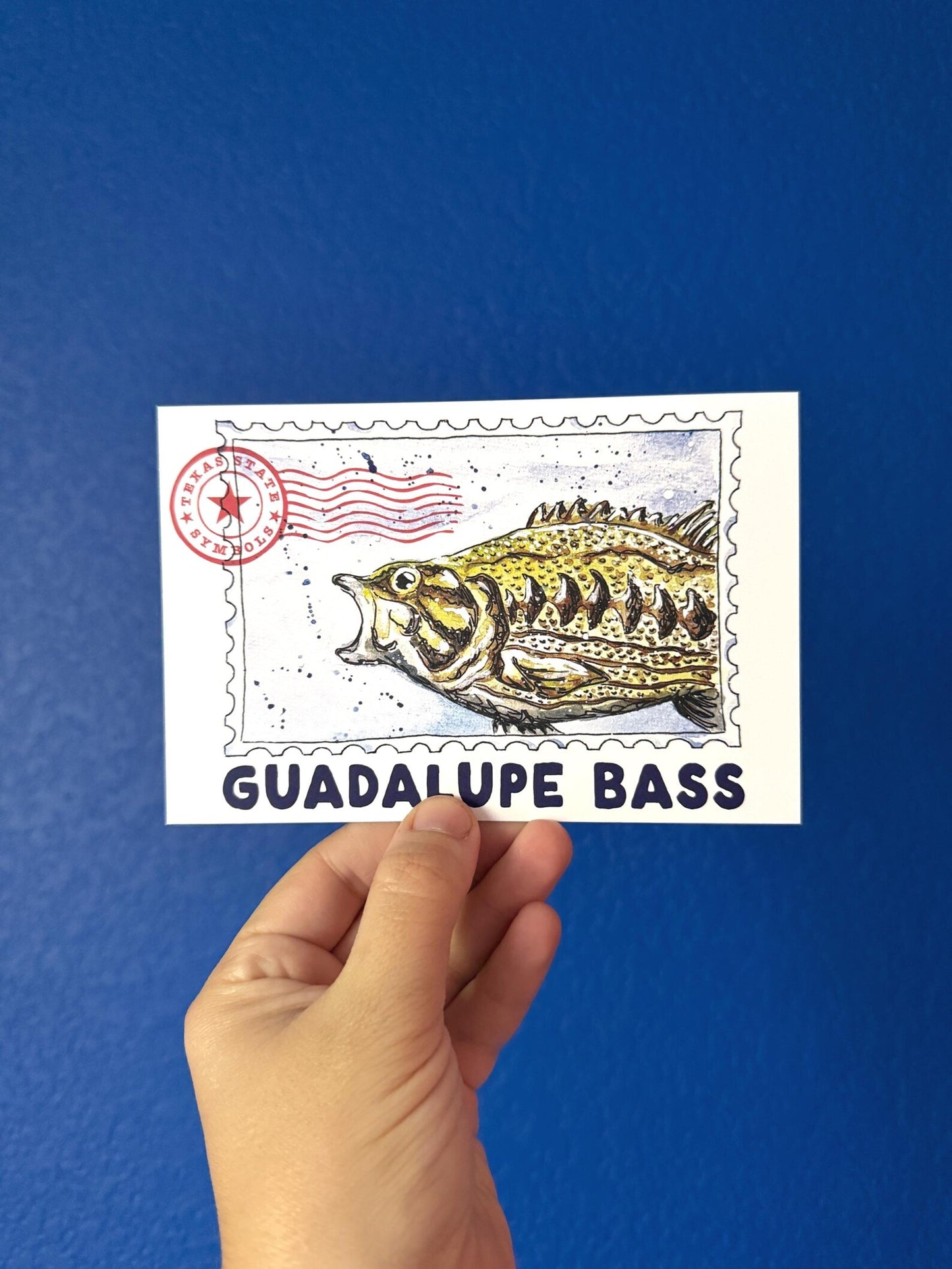 Where’d The Wild Things Go Guadalupe Bass Postcard