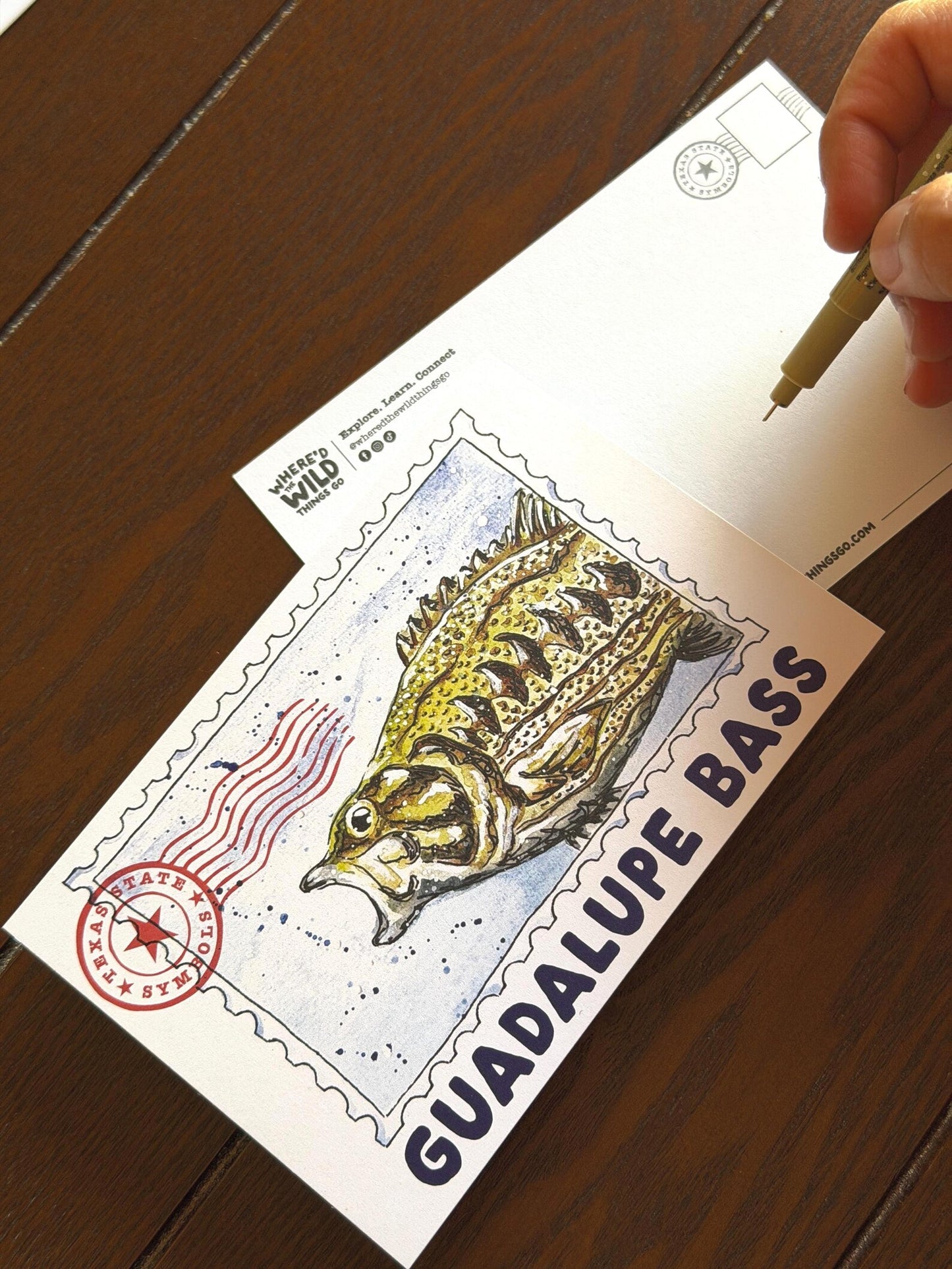 Where’d The Wild Things Go Guadalupe Bass Postcard