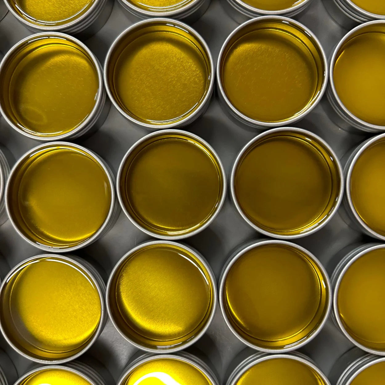 Folk Potions Bee Balm Balm