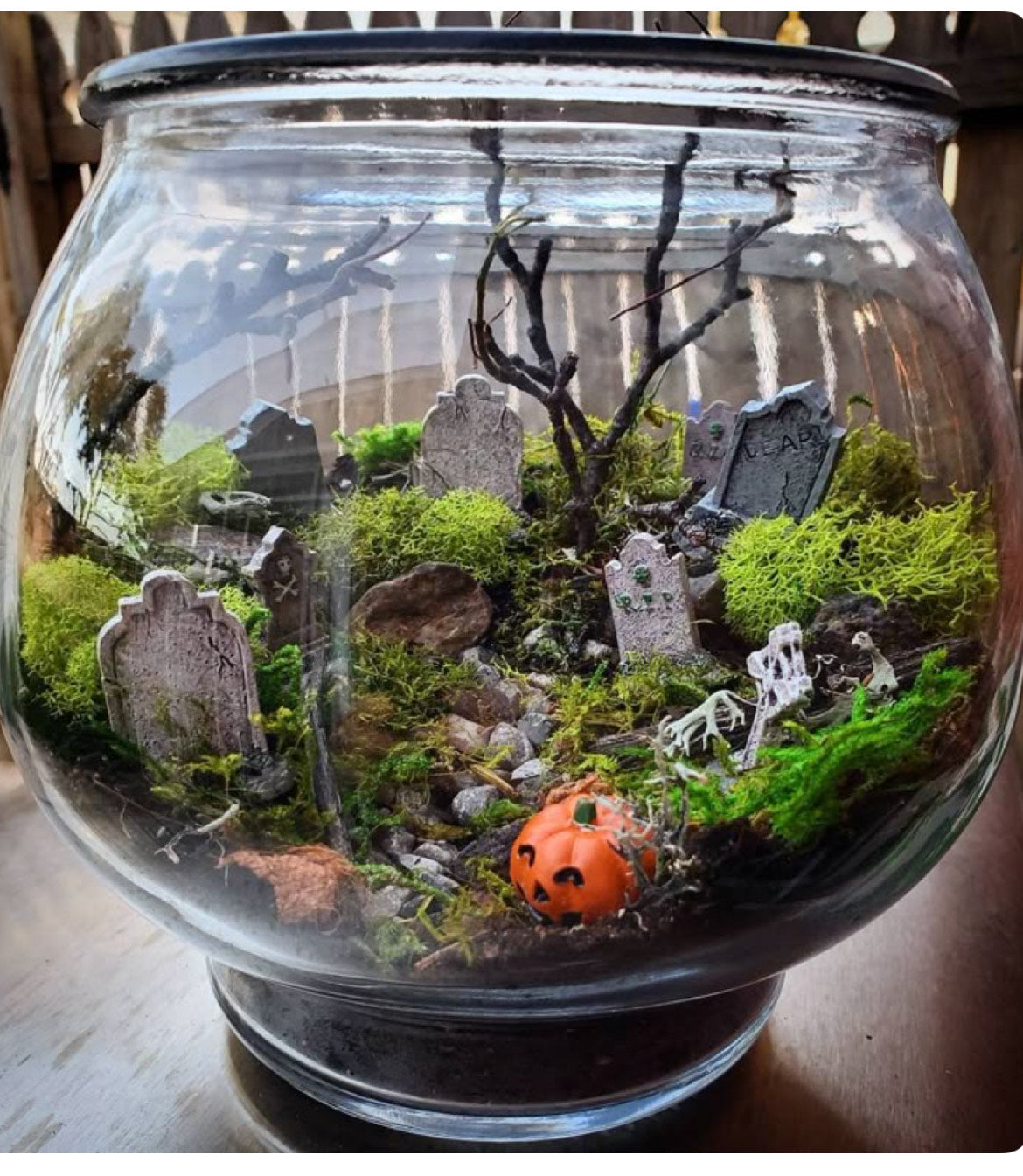 Haunted Terrariums Workshop 10.19.25