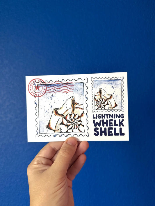 Where’d The Wild Things Go Lightning Whelk Shell Postcard
