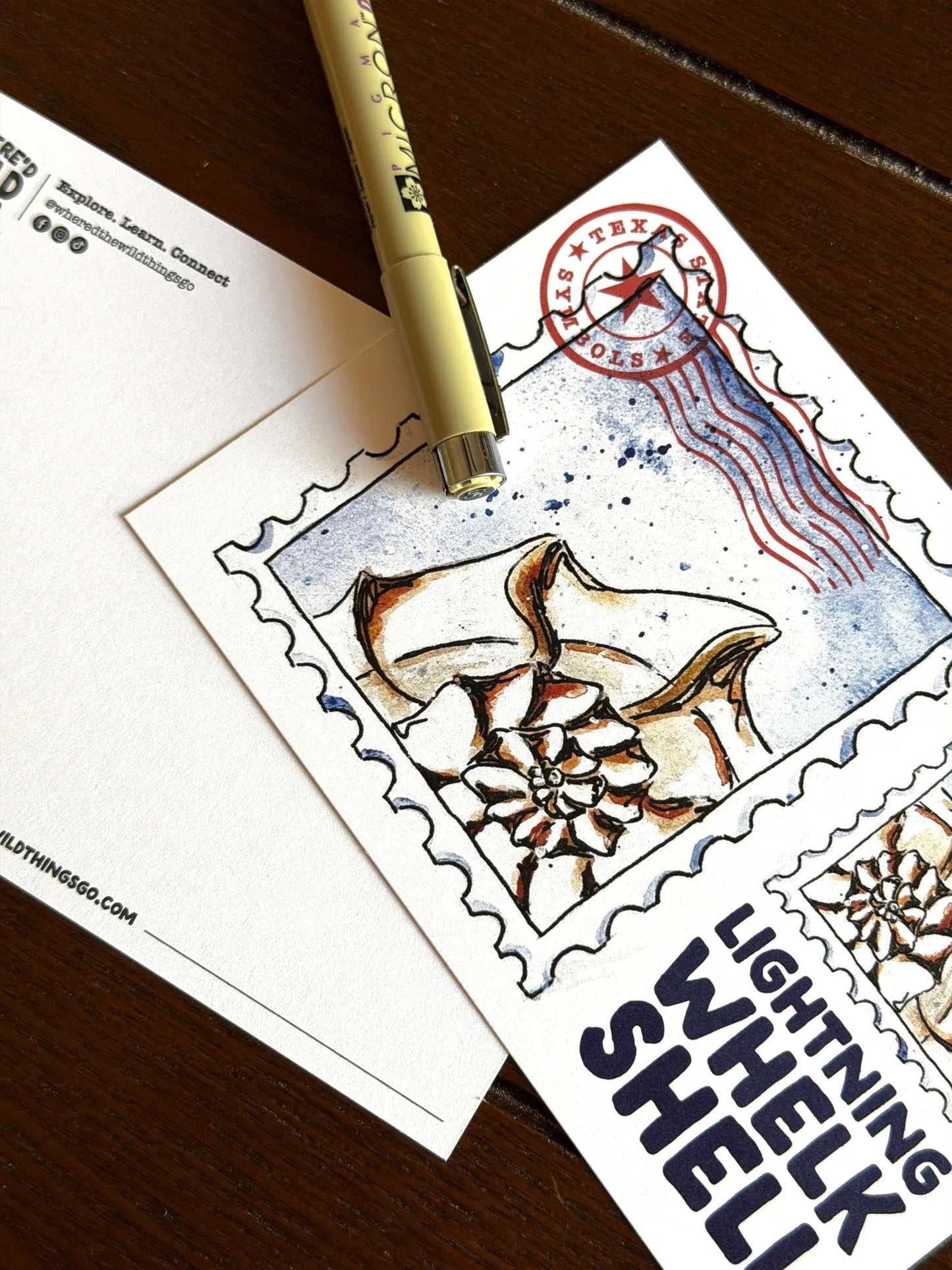 Where’d The Wild Things Go Lightning Whelk Shell Postcard