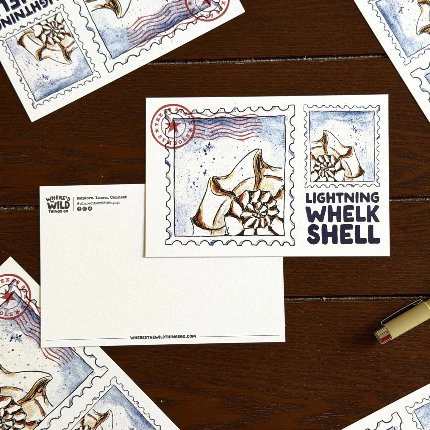 Where’d The Wild Things Go Lightning Whelk Shell Postcard