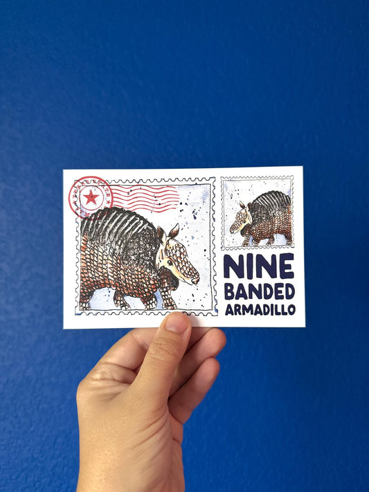 Where’d The Wild Things Go Nine Banded Armadillo Postcard