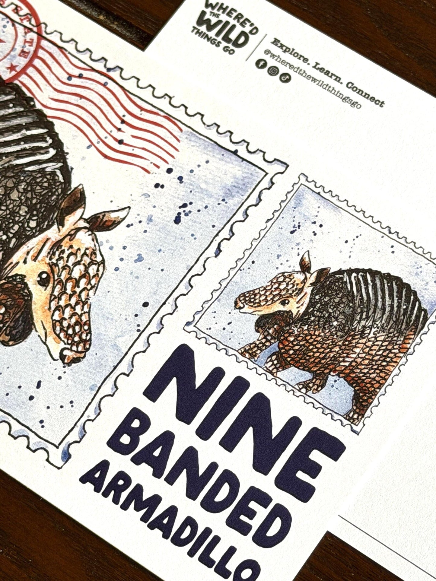 Where’d The Wild Things Go Nine Banded Armadillo Postcard