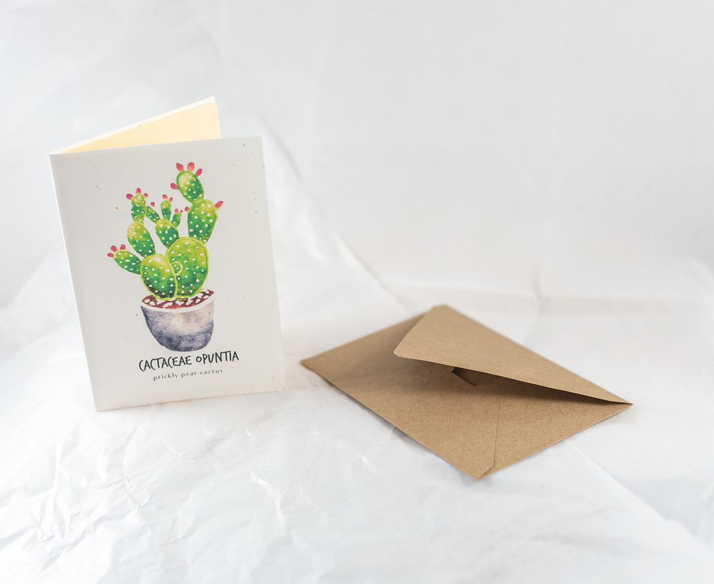 Little Green Press ATX Cactaceae Opuntia Botanical Card