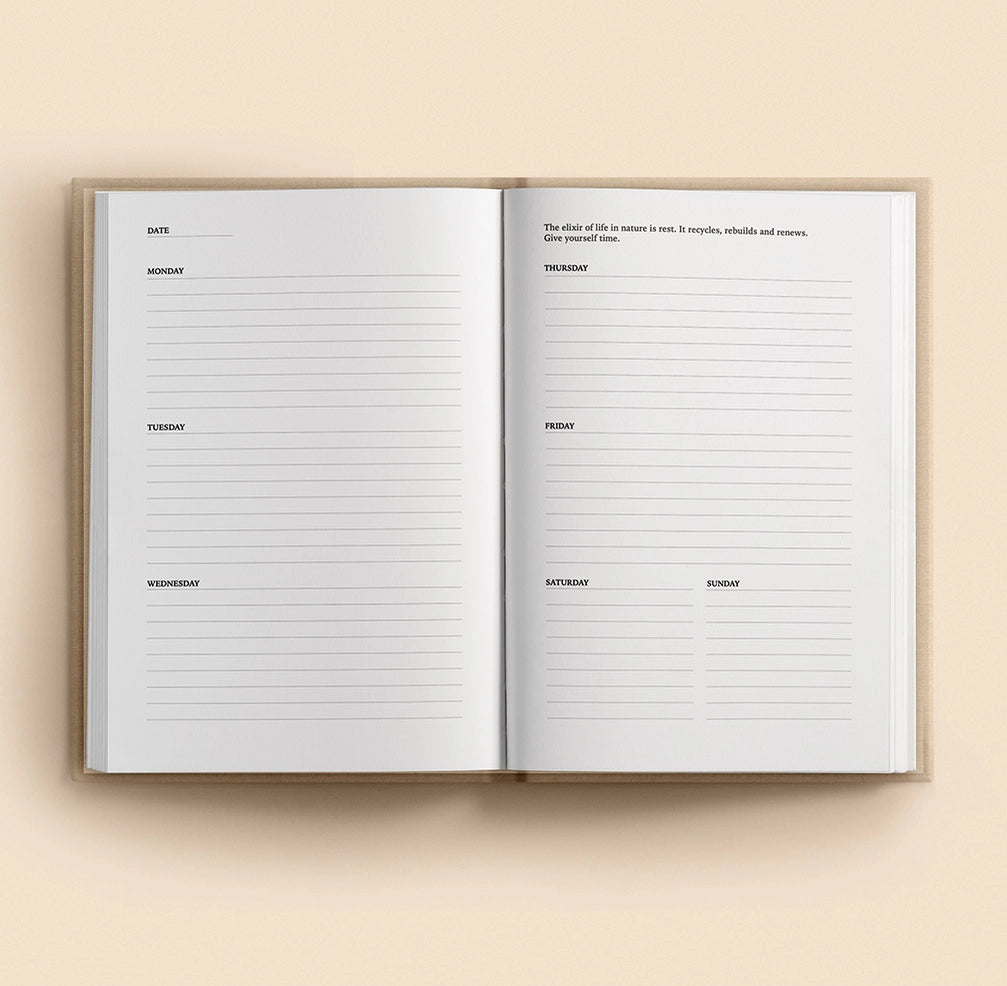 Anna Cosma Stay Gold Wild Soul Timeless Planner Calendar