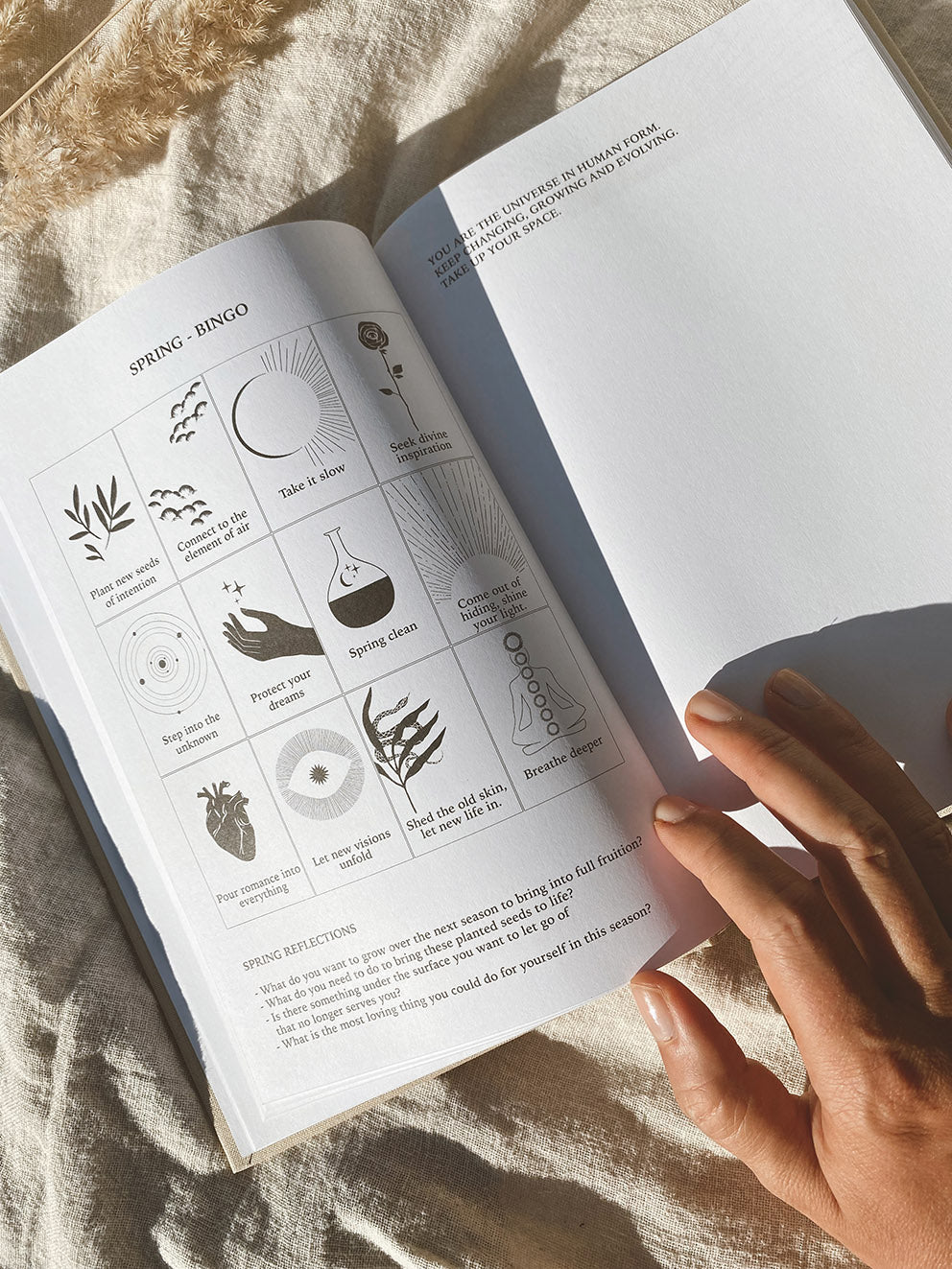 Anna Cosma Stay Gold Wild Soul Timeless Planner Calendar