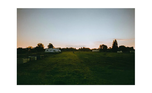 Yellow Cup Studios Moonlight Day Drive I Print