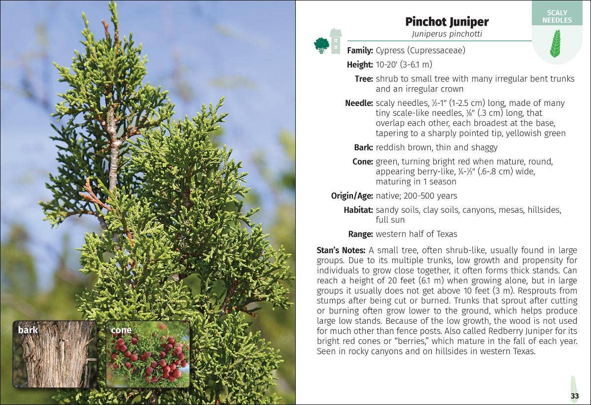 Trees of Texas Field Guide