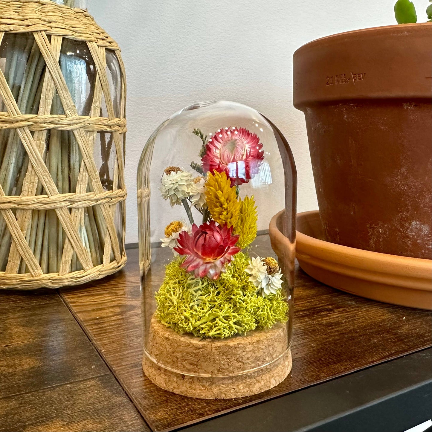 CA Studios Large Botanical Glass Terrarium - Sunblush