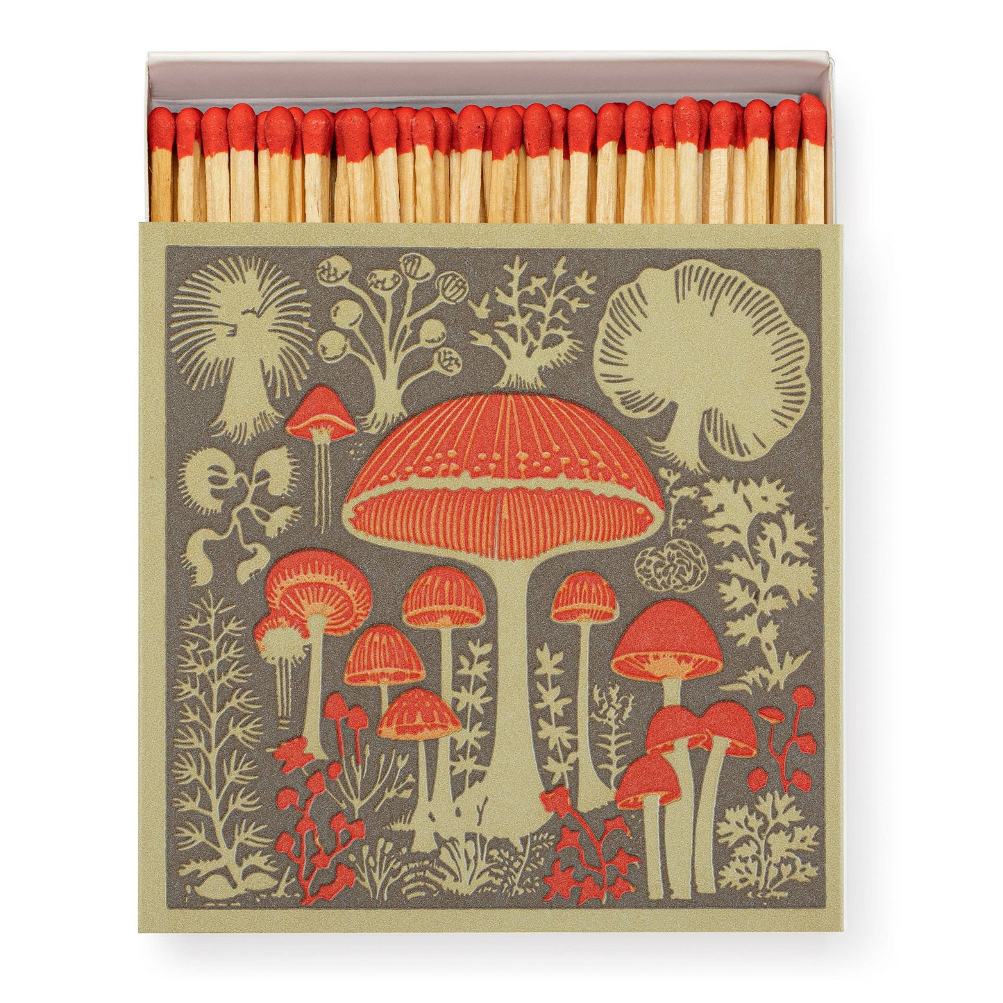 Archivist Gallery Square Matches : Mushrooms