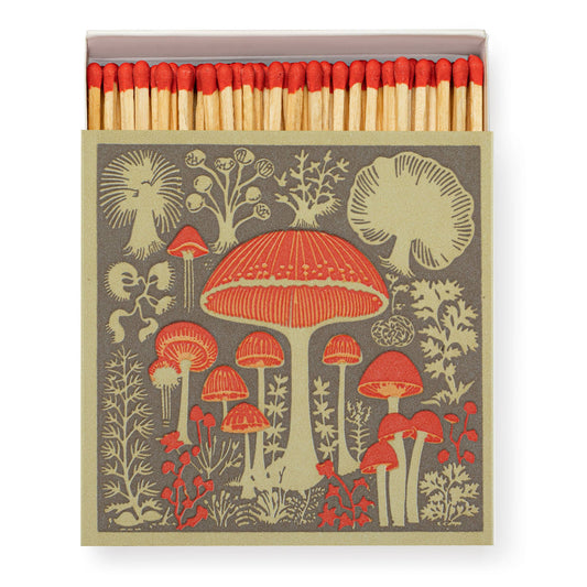 Archivist Gallery Square Matches : Mushrooms