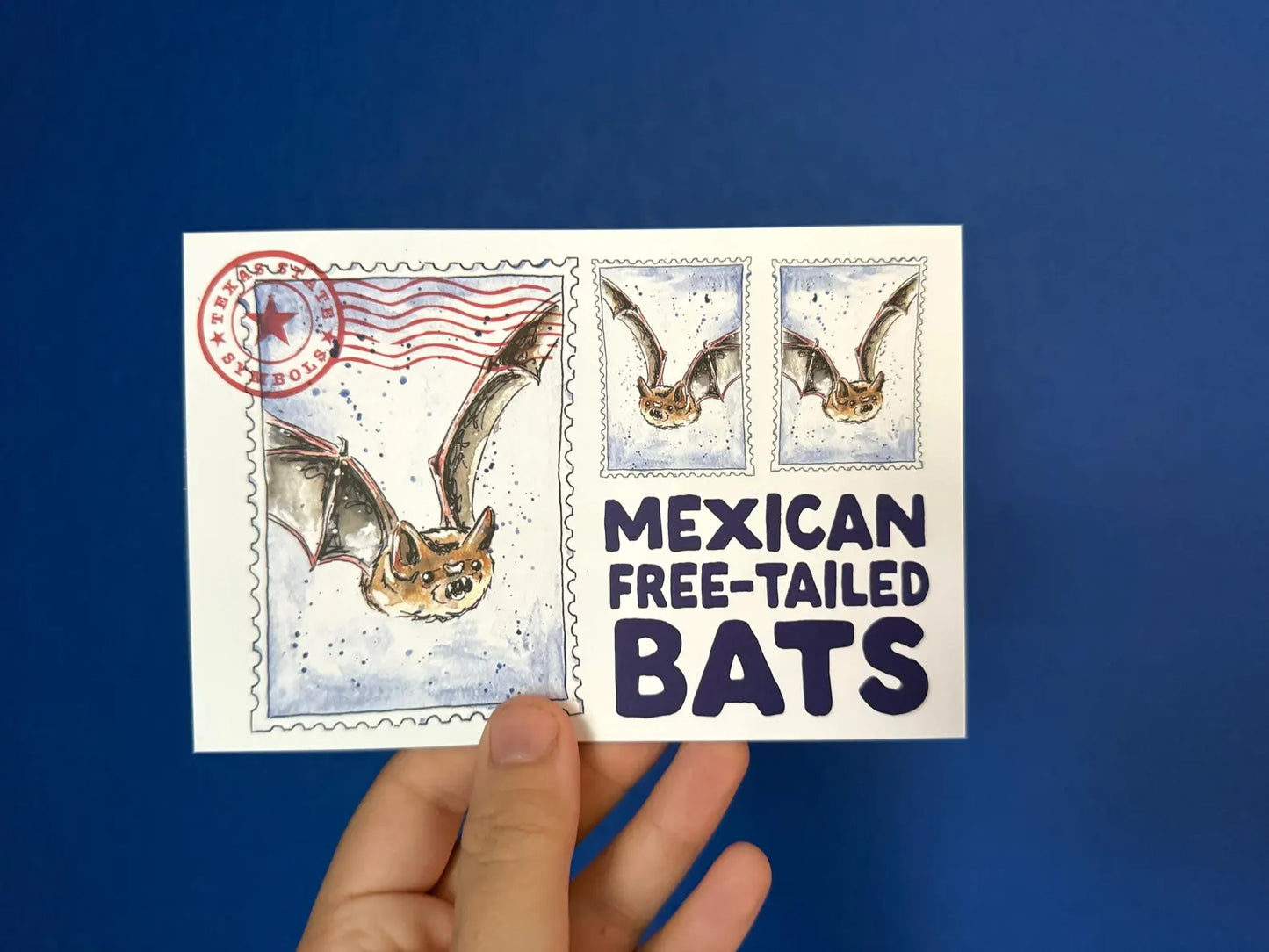 Where’d The Wild Things Go Mexican Free-Tailed Bats Postcard