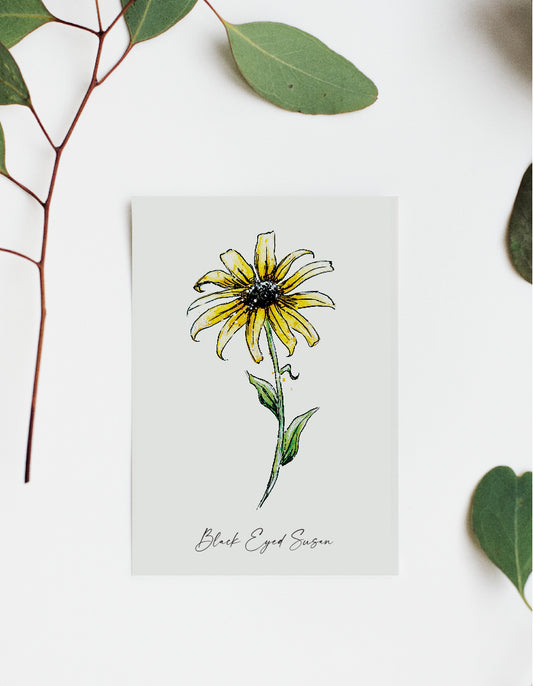 Where'd The Wild Things Go Black Eyed Susan Print
