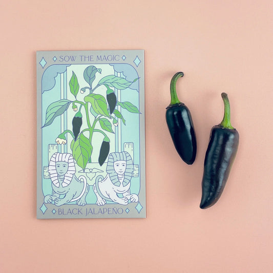 Sow the Magic Black Hungarian Jalapeno Tarot Seed Packet