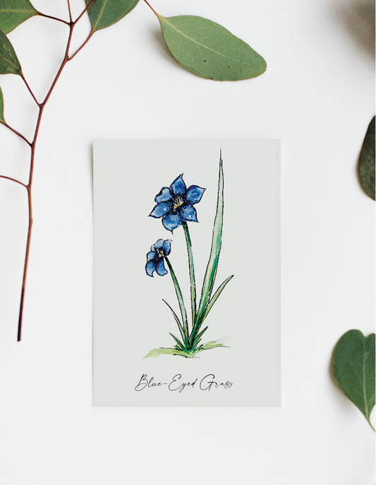 Where'd The Wild Things Go Blue-Eyed Grass Print