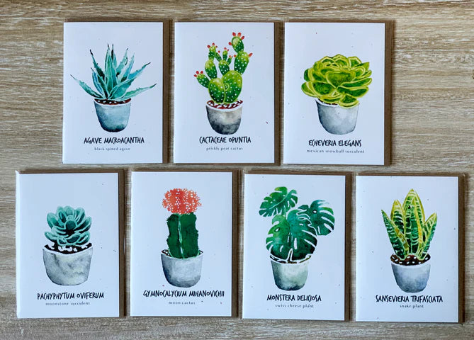 Little Green Press ATX Botanical Cards Set of 7