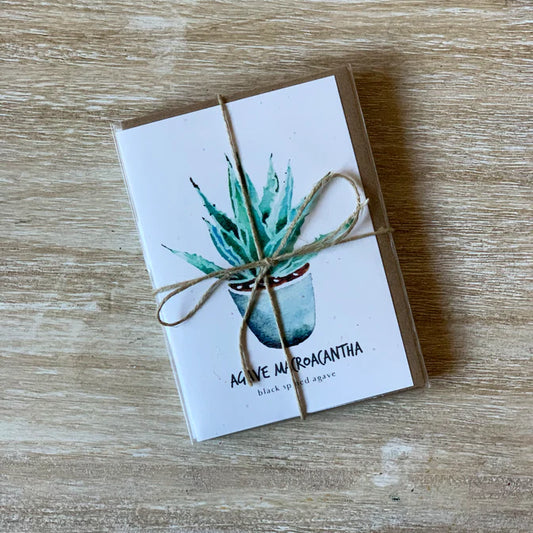 Little Green Press ATX Botanical Cards Set of 7