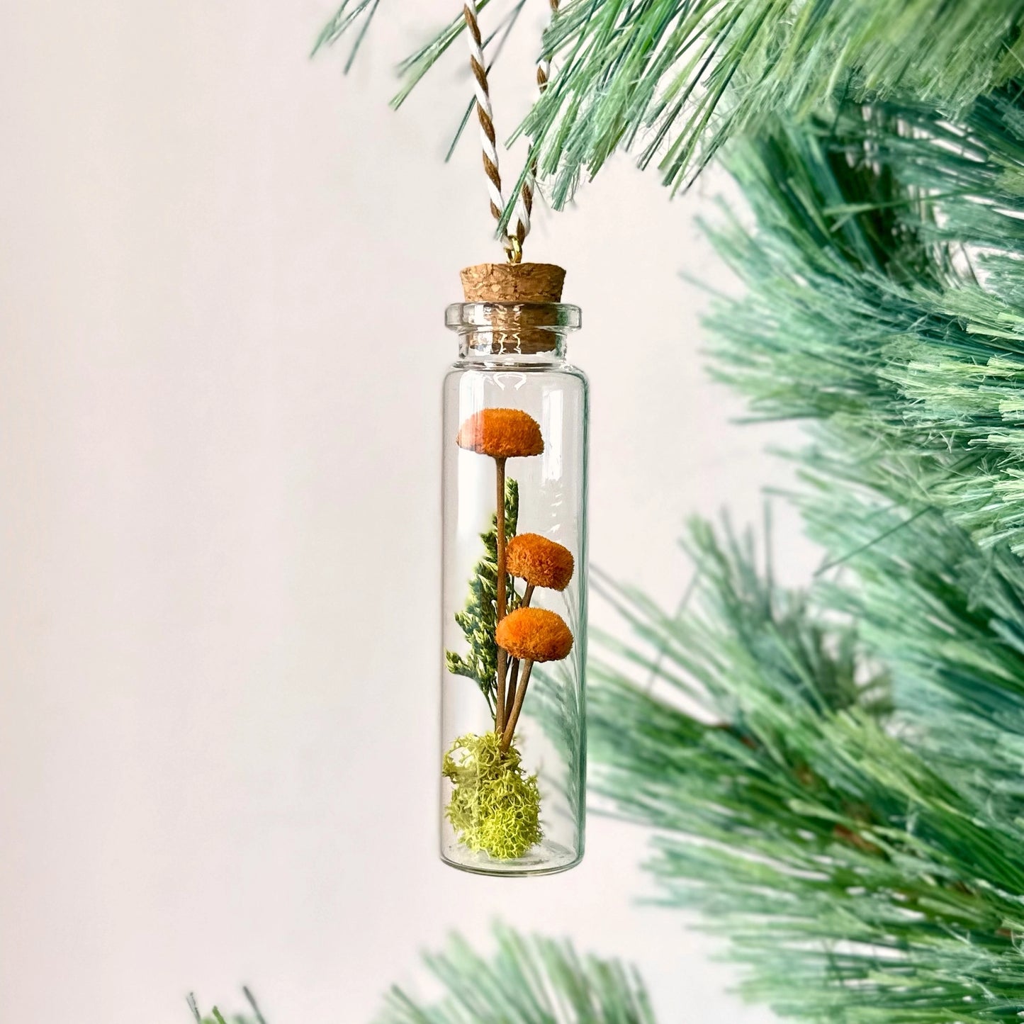 CA Studios Mushroom Terrarium Ornament Cork Jar