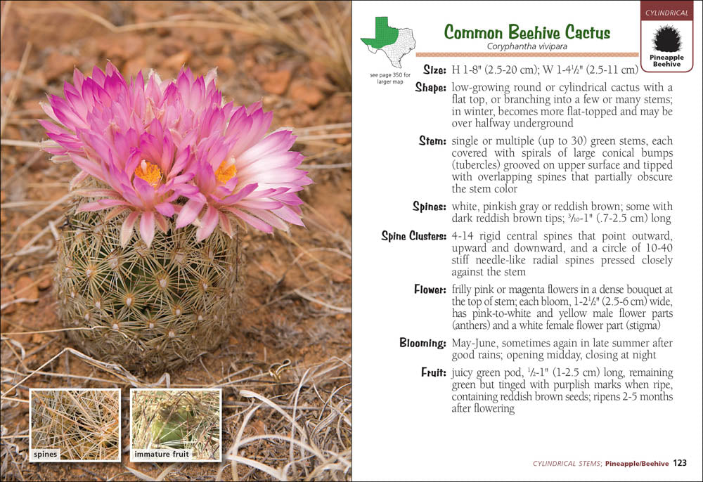 Cactus of Texas Field Guide
