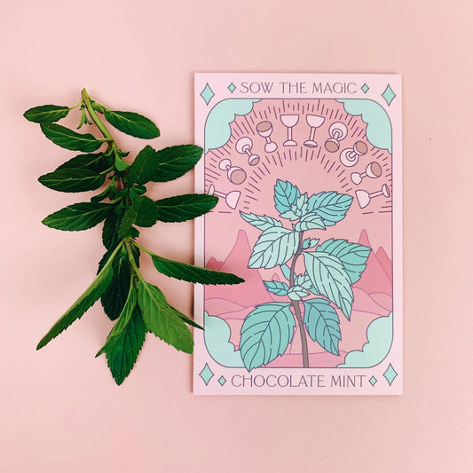 Sow the Magic Chocolate Mint Tarot Seed Packet