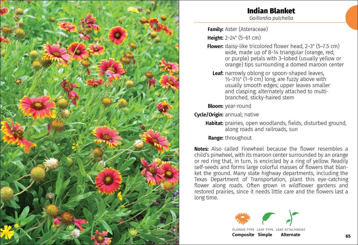 Wildflowers of Texas Field Guide