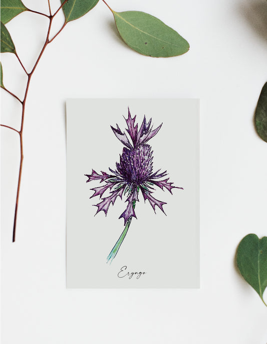 Where'd The Wild Things Go Eryngo Print
