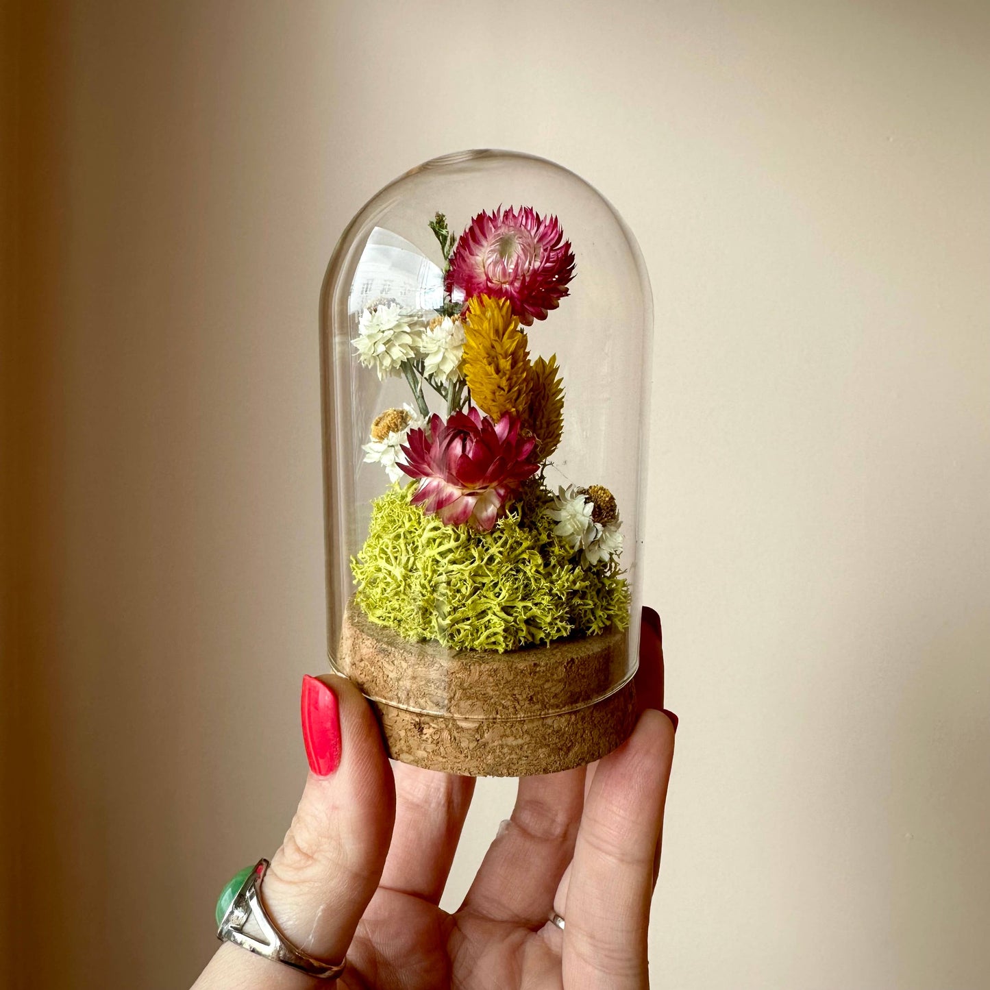 CA Studios Large Botanical Glass Terrarium - Sunblush