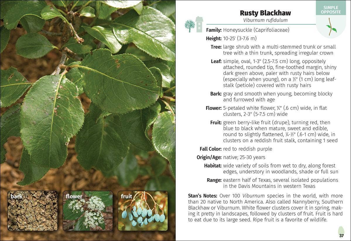 Trees of Texas Field Guide