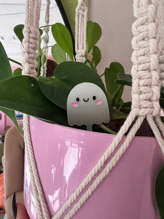 Jollie Ollie Ghostie Plant Pal