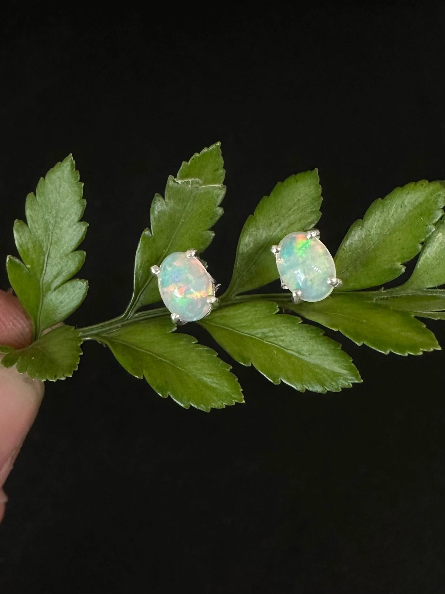 Opal Dreams Jewelry Welo Opal Oval Earrings