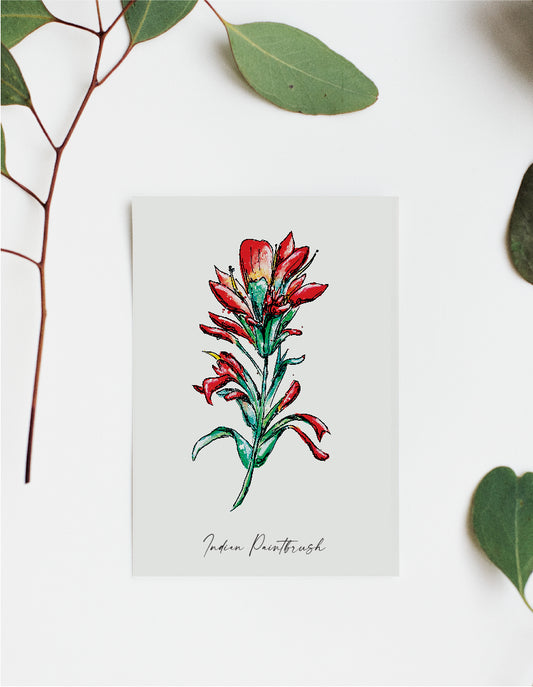 Where'd The Wild Things Go Indian Paintbrush Print