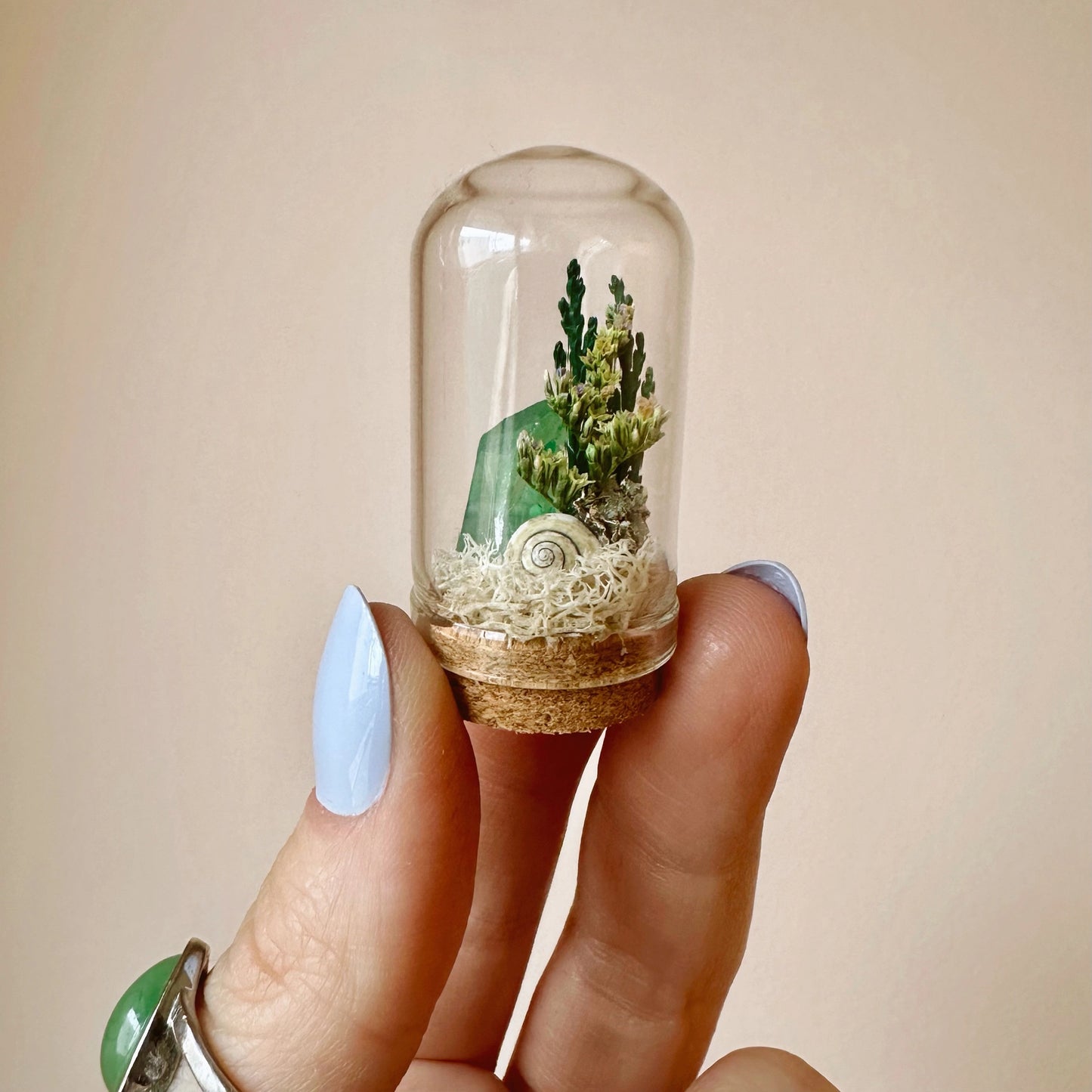 CA Studios Ocean Flora Crystal Terrarium Glass Cloche