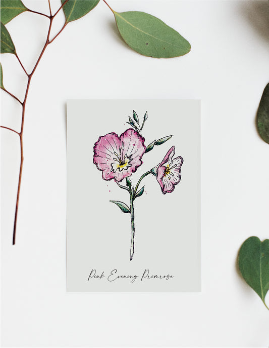 Where'd The Wild Things Go Pink Evening Primrose Print