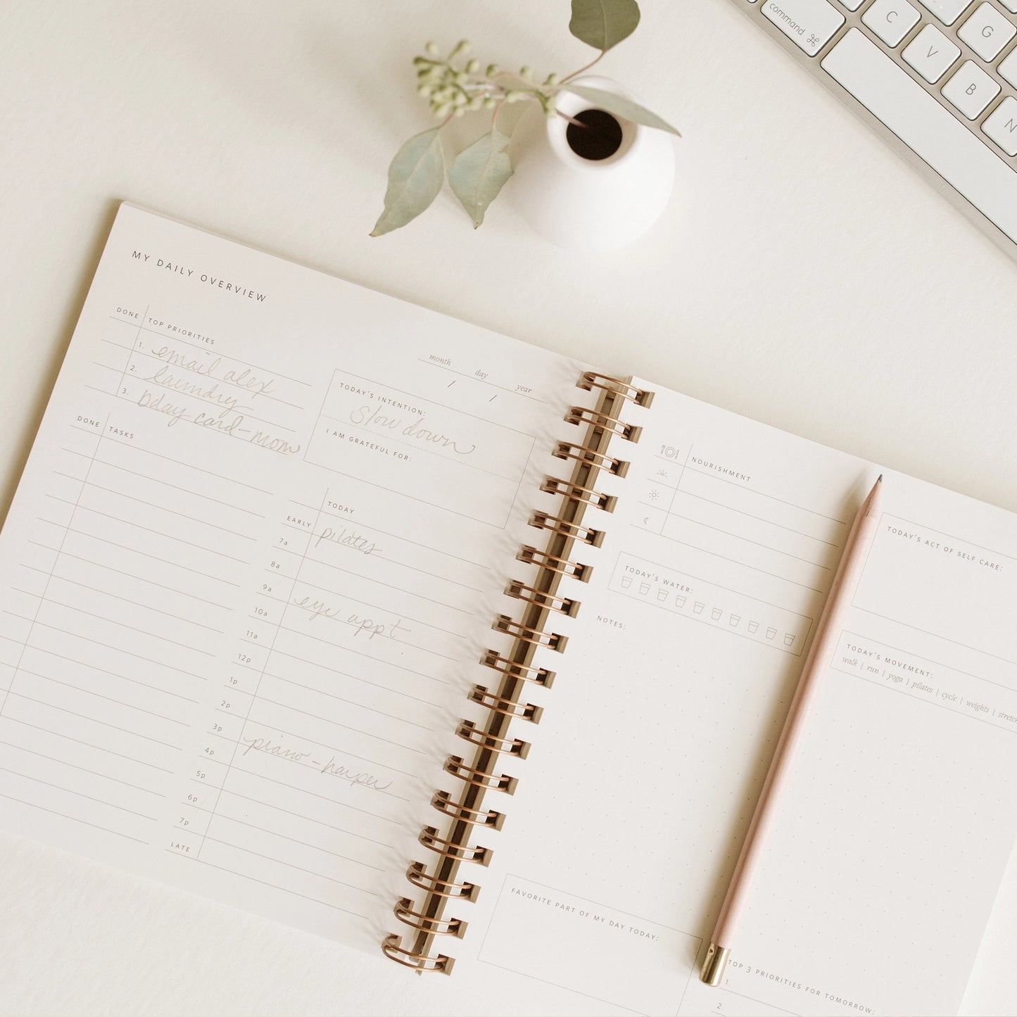 Ramona & Ruth Daily Overview Planner