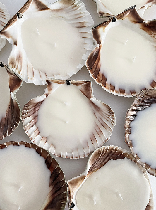 Seashell Candles x Crafternoon ATX Workshop 7.12.25