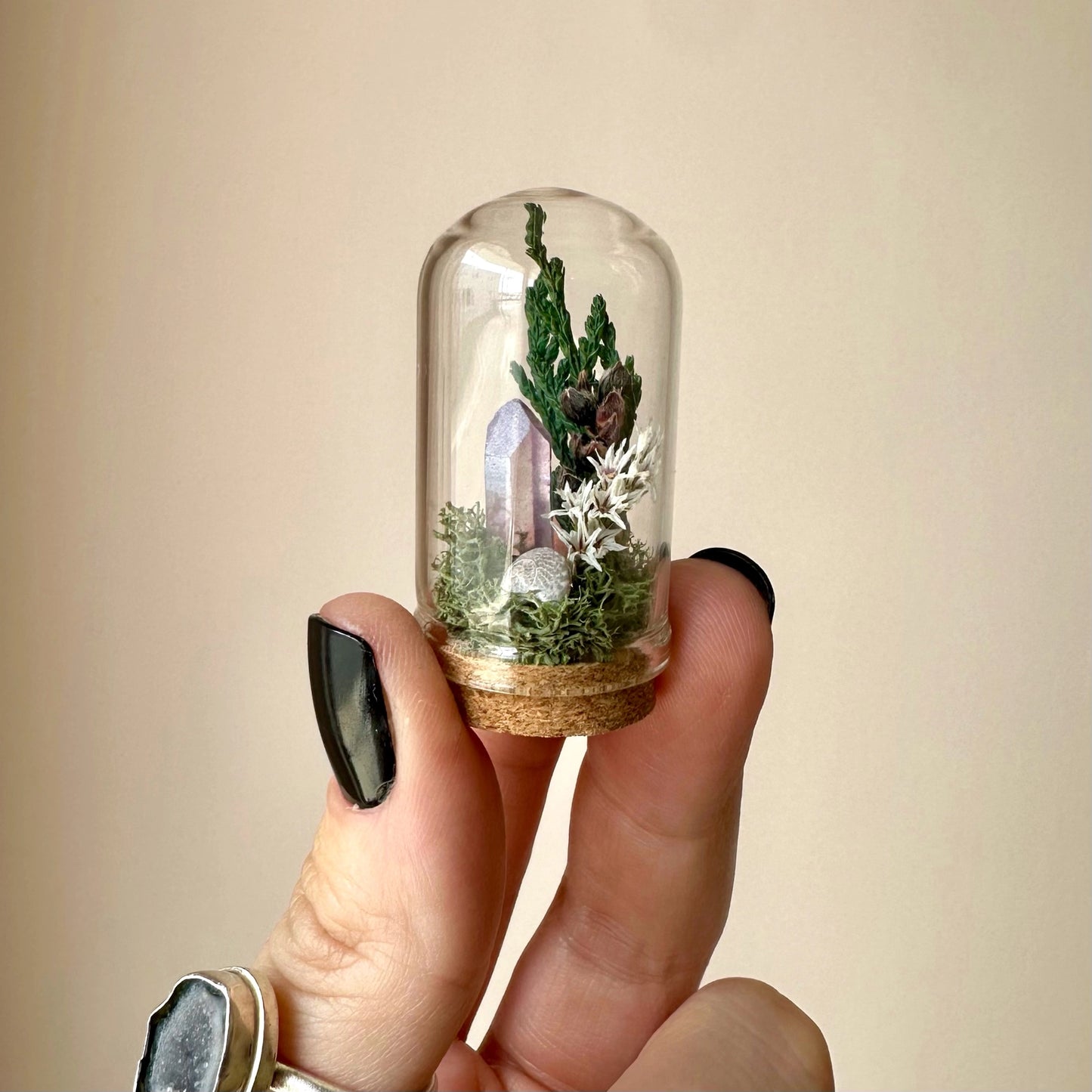 CA Studios Starlight Crystal Terrarium Glass Cloche