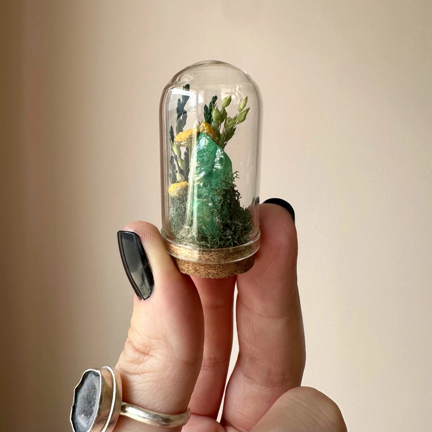 CA Studios Sunlight Crystal Terrarium Glass Cloche