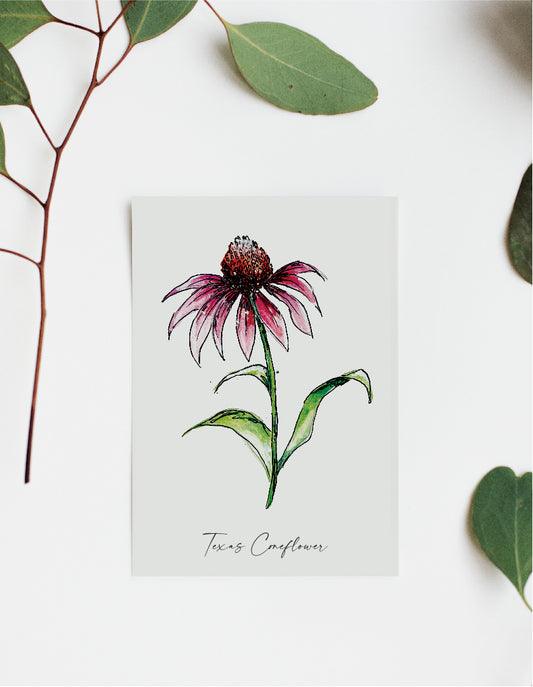 Where'd The Wild Things Go Texas Coneflower Print