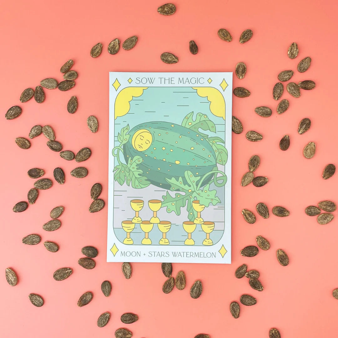 Sow the Magic Moon and Stars Watermelon Tarot Seed Packet