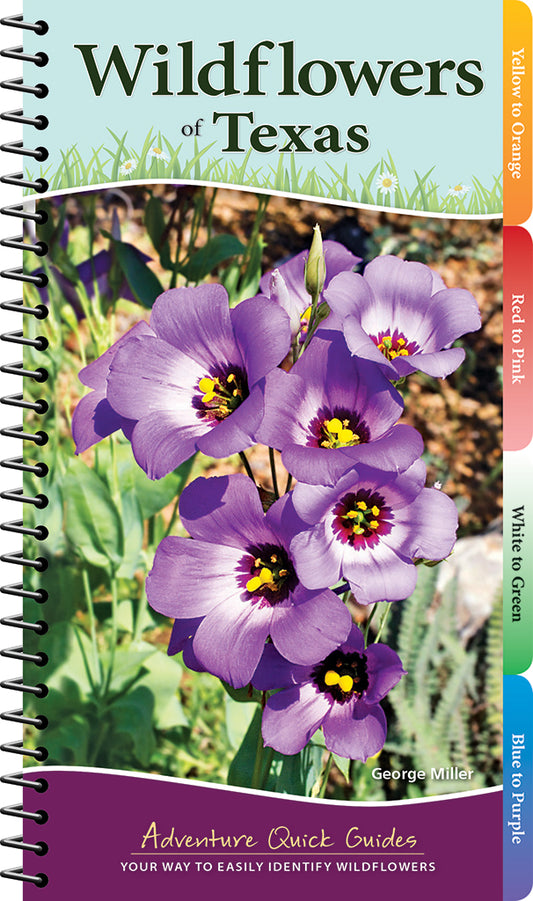 Wildflowers of Texas Quick Guide